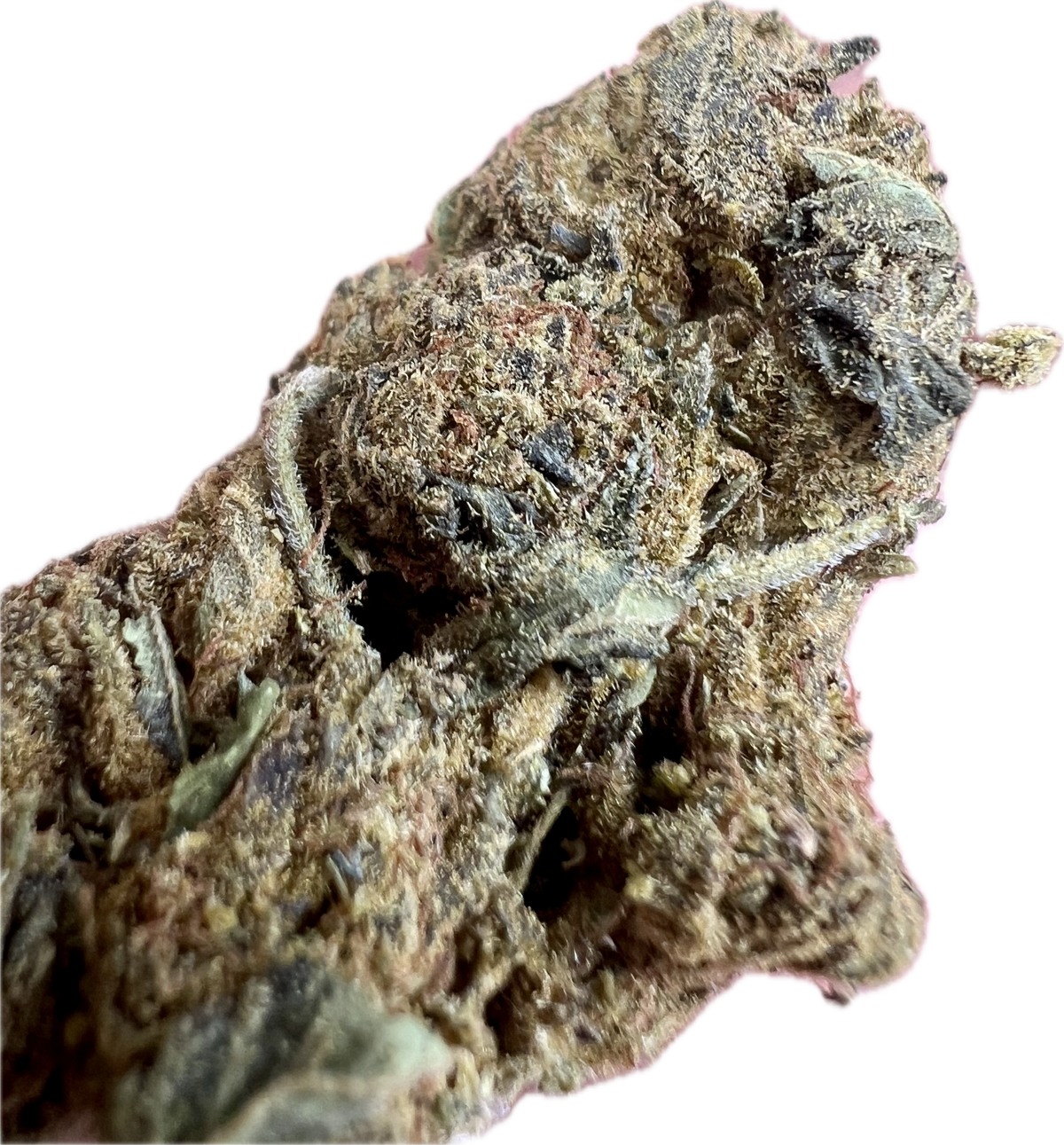 Ripkitty Black Truffle THCA Hemp Flowers